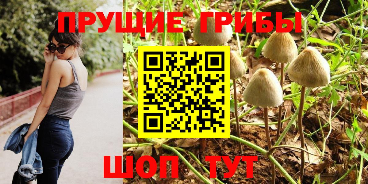 Псилоцибиновые грибы Cubensis Можайск